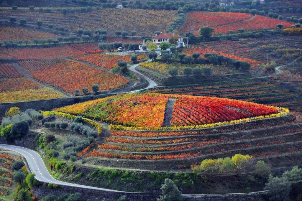 6/4 De Lamego Bed & Breakfast Dış mekan fotoğraf