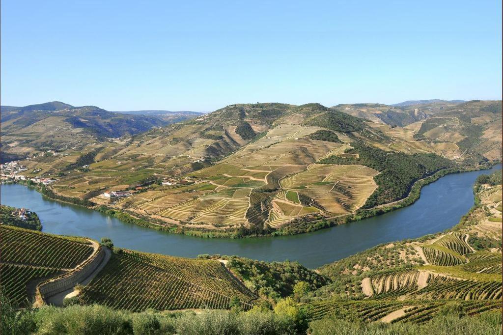 6/4 De Lamego Bed & Breakfast Dış mekan fotoğraf